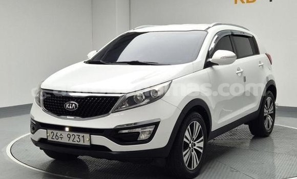 Buy Used Kia Sportage White Car in Import - Dubai in Abaco