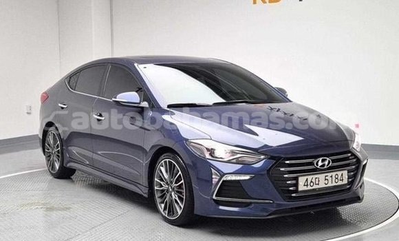 Buy Used Hyundai Avante Blue Car in Marsh Harbour in Abaco