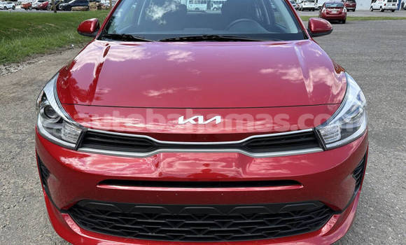 Buy Used Kia Rio Red Car in Freetown in Eleuthera Buy Used Kia Rio Red Car in Freetown in Eleuthera