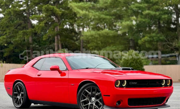Buy Used Dodge Challenger Red Car in Freetown in Eleuthera Buy Used Dodge Challenger Red Car in Freetown in Eleuthera