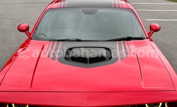 Buy Used Dodge Challenger Red Car in Freetown in Eleuthera Buy Used Dodge Challenger Red Car in Freetown in Eleuthera