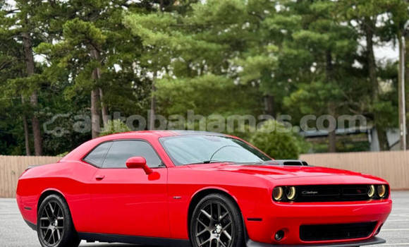 Buy Used Dodge Challenger Red Car in Freetown in Eleuthera Buy Used Dodge Challenger Red Car in Freetown in Eleuthera