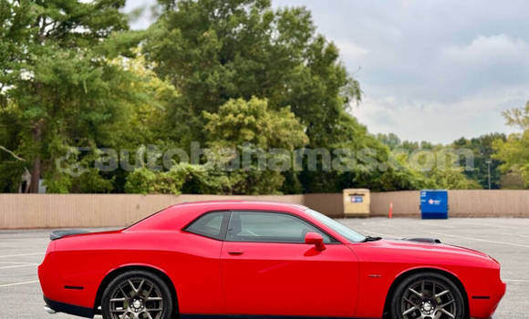 Buy Used Dodge Challenger Red Car in Freetown in Eleuthera Buy Used Dodge Challenger Red Car in Freetown in Eleuthera
