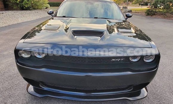 Buy Used Dodge Challenger Black Car in Marsh Harbour in Abaco Buy Used Dodge Challenger Black Car in Marsh Harbour in Abaco