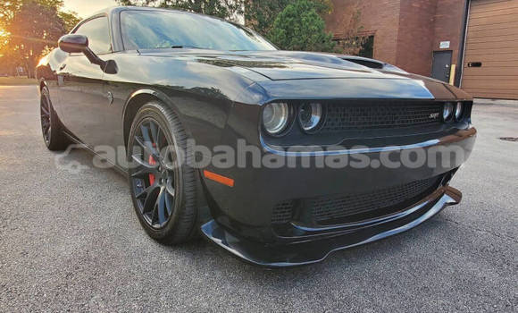 Buy Used Dodge Challenger Black Car in Marsh Harbour in Abaco Buy Used Dodge Challenger Black Car in Marsh Harbour in Abaco