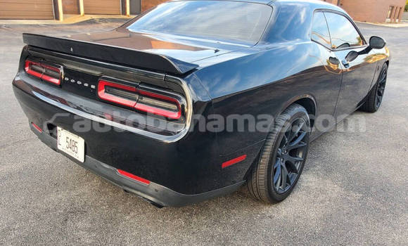 Buy Used Dodge Challenger Black Car in Marsh Harbour in Abaco Buy Used Dodge Challenger Black Car in Marsh Harbour in Abaco