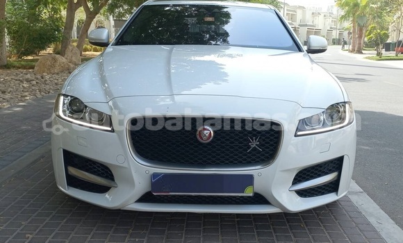 Buy Used Jaguar XF White Car in Freetown in Eleuthera Buy Used Jaguar XF White Car in Freetown in Eleuthera