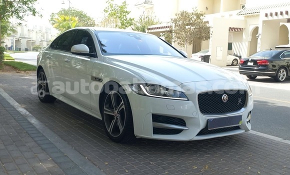 Buy Used Jaguar XF White Car in Freetown in Eleuthera Buy Used Jaguar XF White Car in Freetown in Eleuthera
