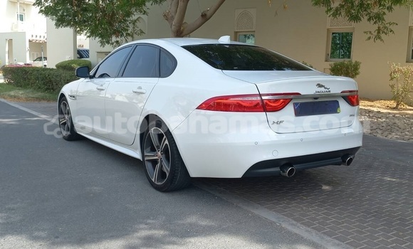 Buy Used Jaguar XF White Car in Freetown in Eleuthera Buy Used Jaguar XF White Car in Freetown in Eleuthera