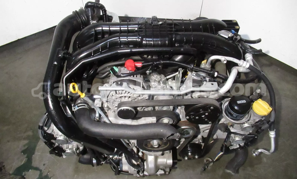 Buy Subaru Forester Engine in Freetown in Eleuthera Buy Subaru Forester Engine in Freetown in Eleuthera