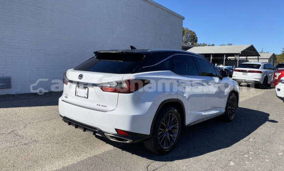 Buy Used Lexus RX 350 White Car in Nicholls Town in Andros Buy Used Lexus RX 350 White Car in Nicholls Town in Andros