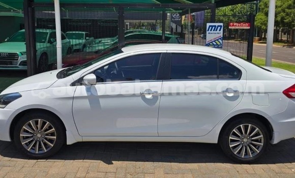 Buy Used Suzuki Ciaz White Car in Freetown in Eleuthera Buy Used Suzuki Ciaz White Car in Freetown in Eleuthera