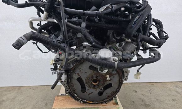 Buy 11-23 DODGE CHARGER in Freetown in Eleuthera Buy 11-23 DODGE CHARGER in Freetown in Eleuthera