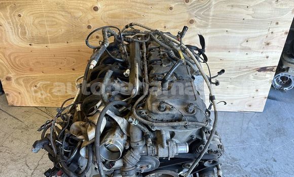 Buy FORD F150 5.0L in Freetown in Eleuthera Buy FORD F150 5.0L in Freetown in Eleuthera