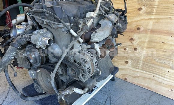 Buy FORD F150 5.0L in Freetown in Eleuthera Buy FORD F150 5.0L in Freetown in Eleuthera