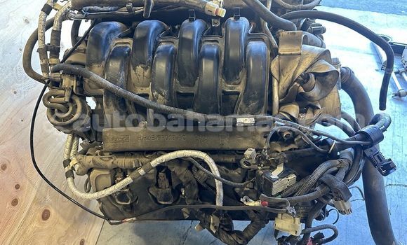 Buy FORD F150 5.0L in Freetown in Eleuthera Buy FORD F150 5.0L in Freetown in Eleuthera