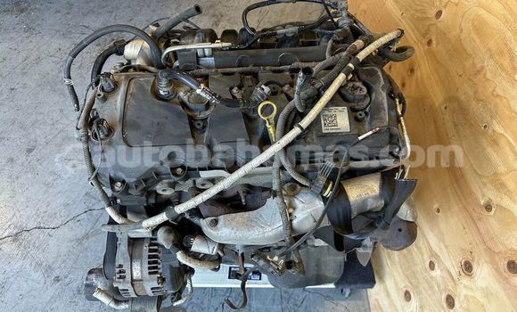 Buy FORD F150 5.0L in Freetown in Eleuthera Buy FORD F150 5.0L in Freetown in Eleuthera