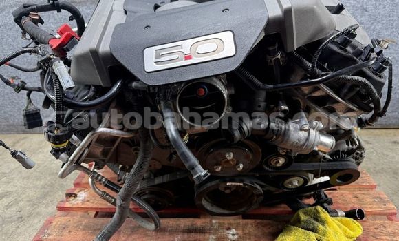 Buy FORD MUSTANG GT OEM in Freetown in Eleuthera Buy FORD MUSTANG GT OEM in Freetown in Eleuthera