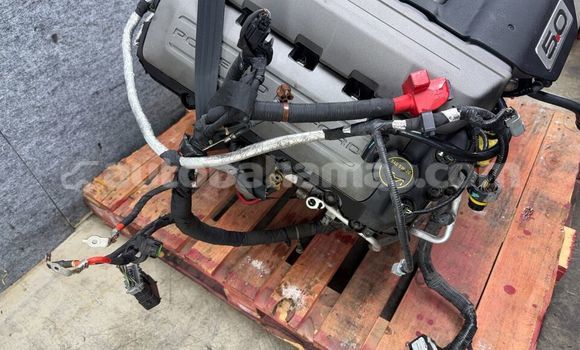 Buy FORD MUSTANG GT OEM in Freetown in Eleuthera Buy FORD MUSTANG GT OEM in Freetown in Eleuthera