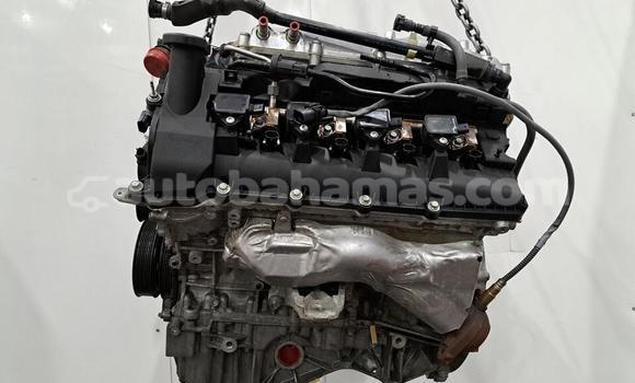 Buy 2016 JAGUAR F TYPE 5.0 in Freetown in Eleuthera Buy 2016 JAGUAR F TYPE 5.0 in Freetown in Eleuthera