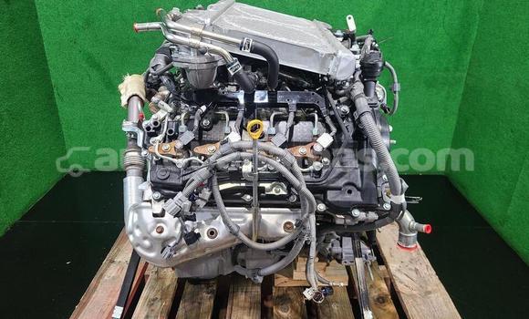 Buy TOYOTA LAND CRUISER in Freetown in Eleuthera Buy TOYOTA LAND CRUISER in Freetown in Eleuthera