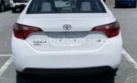 Buy Used Toyota Corolla White Car in Marsh Harbour in Abaco
