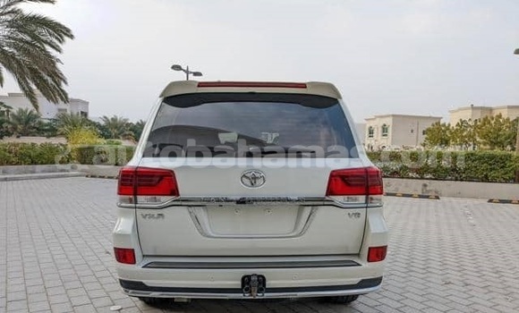 Buy Used Toyota Land Cruiser White Car in Alice Town in Biminis Buy Used Toyota Land Cruiser White Car in Alice Town in Biminis