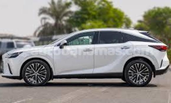 Buy Used Lexus RX 350 White Car in Rock Sound in Eleuthera