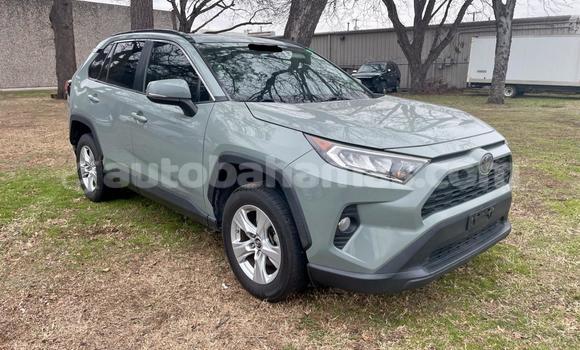 Buy Used Toyota RAV4 Green Car in Coopers Town in Abaco
