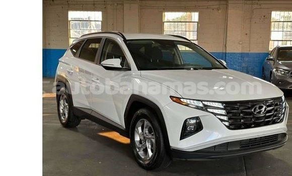 Buy Used Hyundai Tucson White Car in Marsh Harbour in Abaco