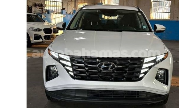 Buy Used Hyundai Tucson White Car in Marsh Harbour in Abaco Buy Used Hyundai Tucson White Car in Marsh Harbour in Abaco