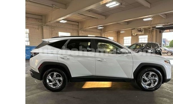 Buy Used Hyundai Tucson White Car in Marsh Harbour in Abaco Buy Used Hyundai Tucson White Car in Marsh Harbour in Abaco