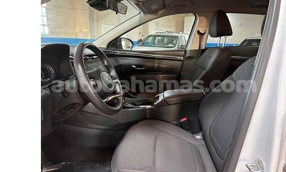 Buy Used Hyundai Tucson White Car in Marsh Harbour in Abaco Buy Used Hyundai Tucson White Car in Marsh Harbour in Abaco