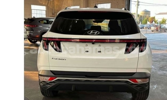 Buy Used Hyundai Tucson White Car in Marsh Harbour in Abaco Buy Used Hyundai Tucson White Car in Marsh Harbour in Abaco