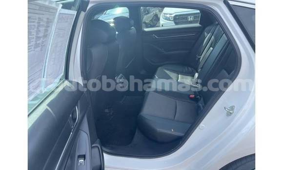 Buy Used Honda Accord White Car in Marsh Harbour in Abaco Buy Used Honda Accord White Car in Marsh Harbour in Abaco