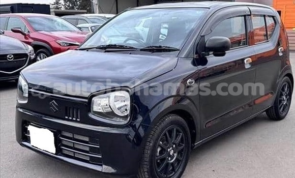 Buy Used Suzuki Alto Black Car in Marsh Harbour in Abaco Buy Used Suzuki Alto Black Car in Marsh Harbour in Abaco