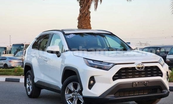 Buy Used Toyota RAV4 White Car in Marsh Harbour in Abaco