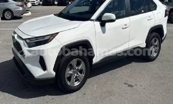 Buy Used Toyota RAV4 White Car in Marsh Harbour in Abaco