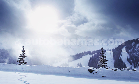 Buy Used Volkswagen Jetta Silver Car in Andros Town in Andros