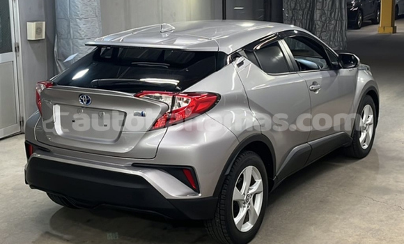 Buy Import Toyota C-HR Silver Car in Freetown in Eleuthera Buy Import Toyota C-HR Silver Car in Freetown in Eleuthera
