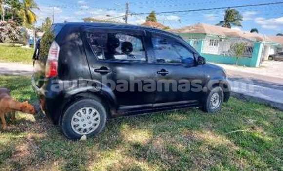 Buy Used Toyota Passo Black Car in Coopers Town in Abaco Buy Used Toyota Passo Black Car in Coopers Town in Abaco