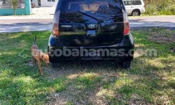 Buy Used Toyota Passo Black Car in Coopers Town in Abaco Buy Used Toyota Passo Black Car in Coopers Town in Abaco