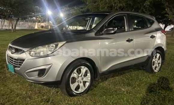 Buy Used Hyundai Tucson Other Car in Coopers Town in Abaco