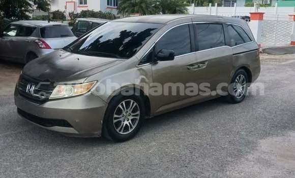 Buy Used Honda Odyssey Other Car in Nicholls Town in Andros
