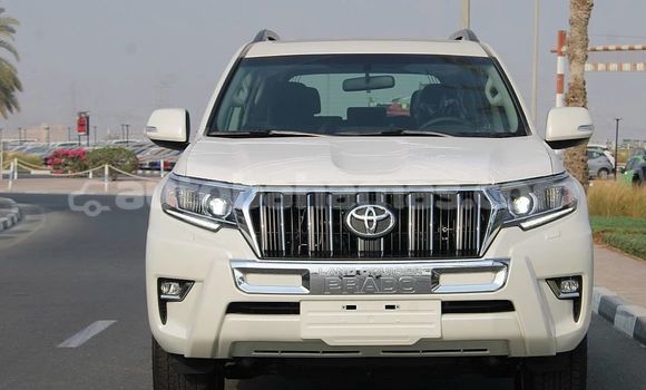 Buy Used Toyota Land Cruiser Prado White Car in Marsh Harbour in Abaco