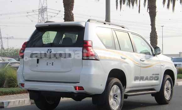 Buy Used Toyota Land Cruiser Prado White Car in Marsh Harbour in Abaco Buy Used Toyota Land Cruiser Prado White Car in Marsh Harbour in Abaco