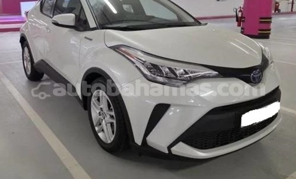Buy Used Toyota C-HR White Car in Marsh Harbour in Abaco