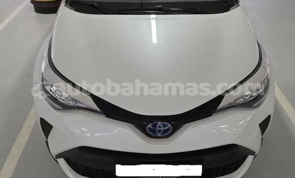 Buy Used Toyota C-HR White Car in Marsh Harbour in Abaco Buy Used Toyota C-HR White Car in Marsh Harbour in Abaco