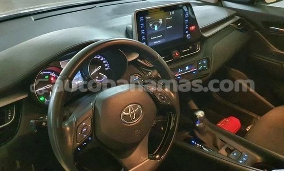 Buy Used Toyota C-HR White Car in Marsh Harbour in Abaco Buy Used Toyota C-HR White Car in Marsh Harbour in Abaco