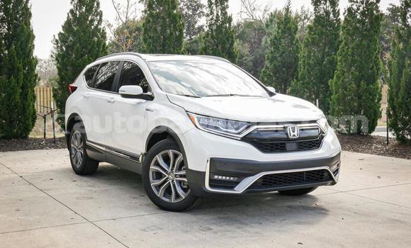 Buy Used Honda CR–V White Car in Marsh Harbour in Abaco